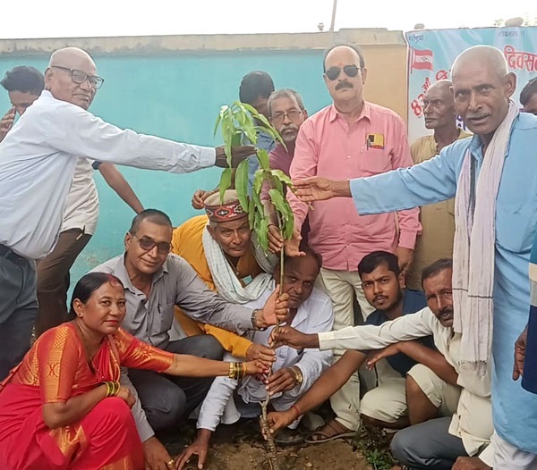 विपी स्मृतिमा वृक्षा रोपन